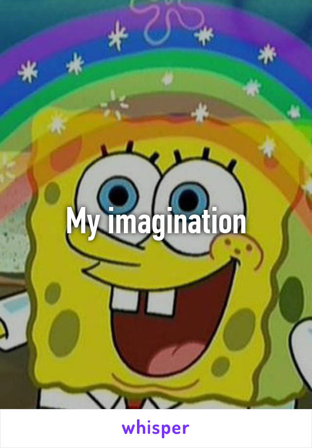 My imagination