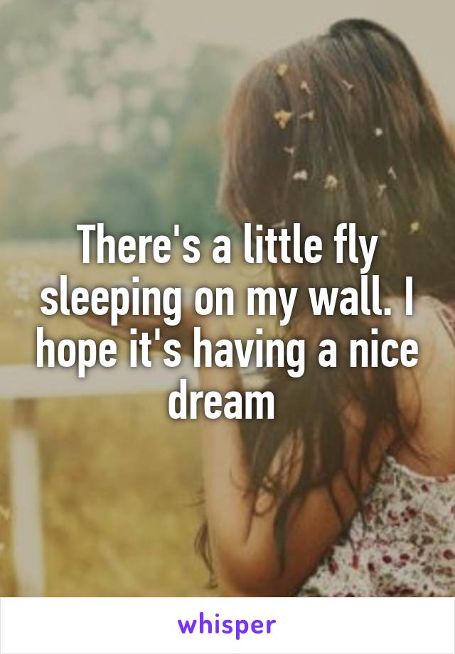 There's a little fly sleeping on my wall. I hope it's having a nice dream 