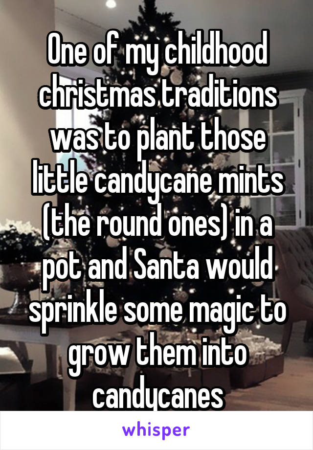 One of my childhood christmas traditions was to plant those little candycane mints (the round ones) in a pot and Santa would sprinkle some magic to grow them into candycanes