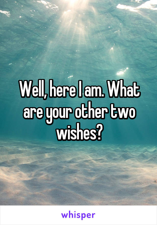 Well, here I am. What are your other two wishes?