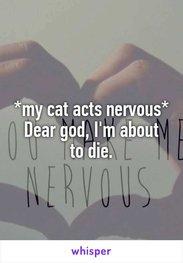 *my cat acts nervous*
Dear god, I'm about to die.