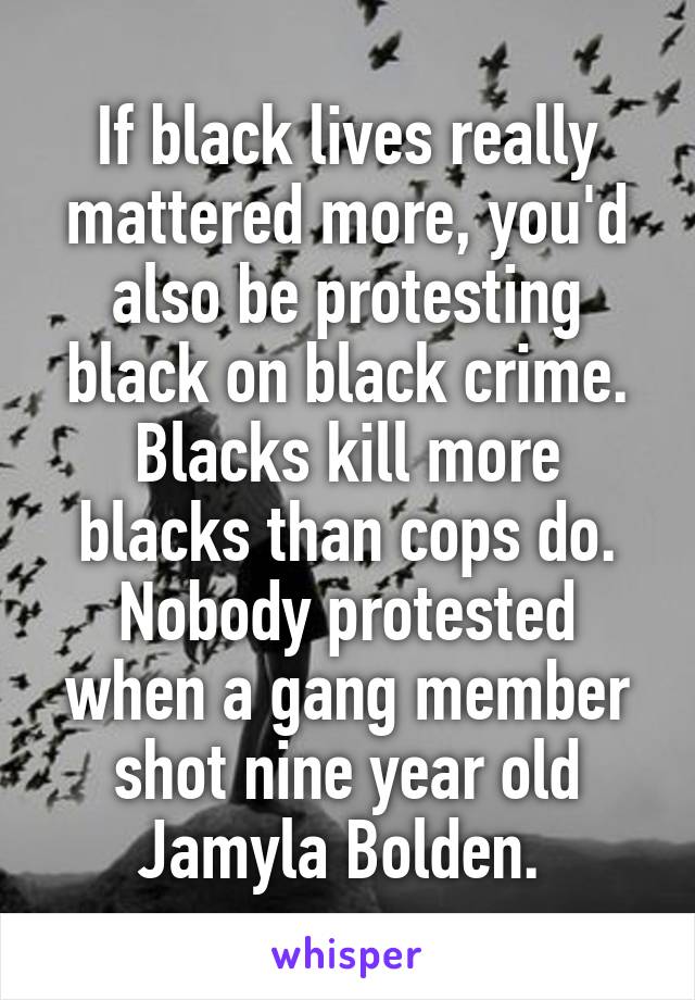 If black lives really mattered more, you'd also be protesting black on black crime. Blacks kill more blacks than cops do. Nobody protested when a gang member shot nine year old Jamyla Bolden. 