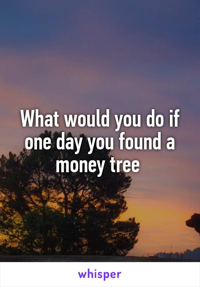 What would you do if one day you found a money tree 