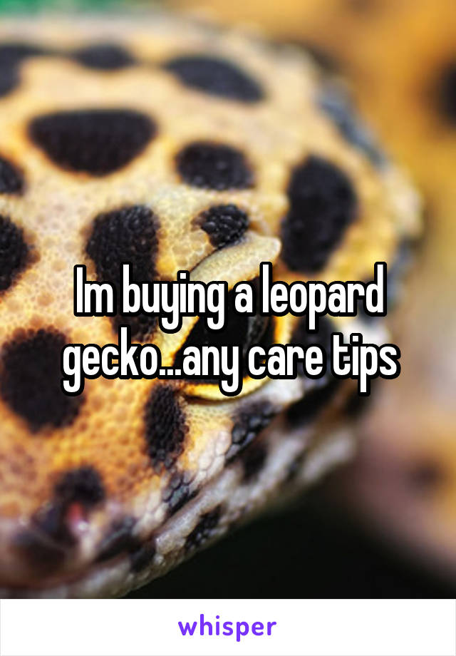Im buying a leopard gecko...any care tips