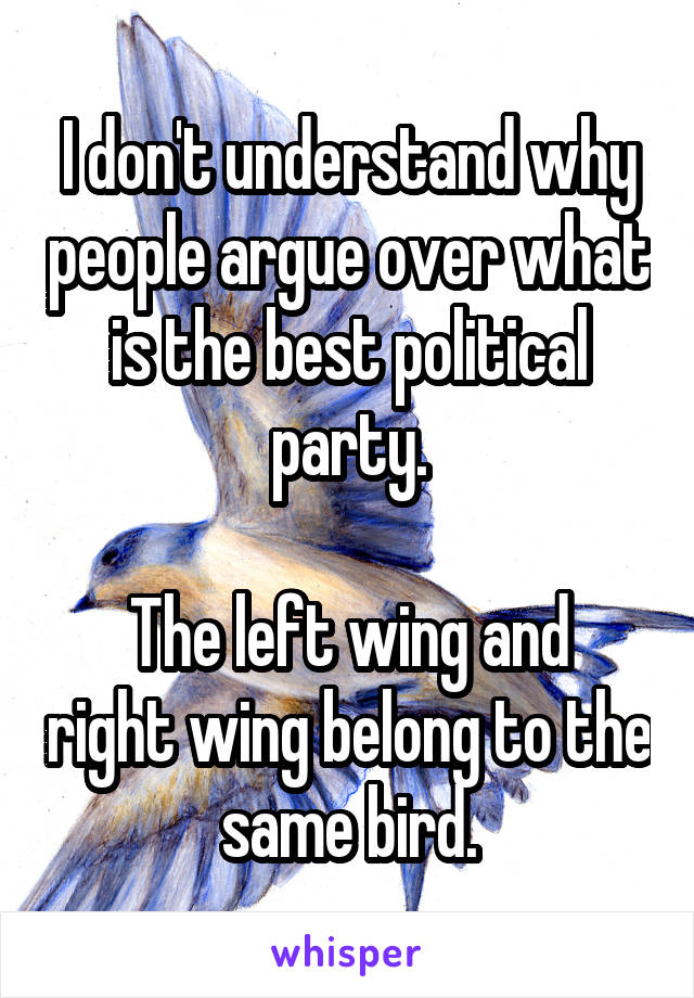 I don't understand why people argue over what is the best political party.

The left wing and right wing belong to the same bird.