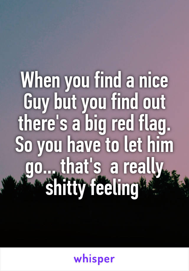 When you find a nice Guy but you find out there's a big red flag. So you have to let him go... that's  a really shitty feeling 