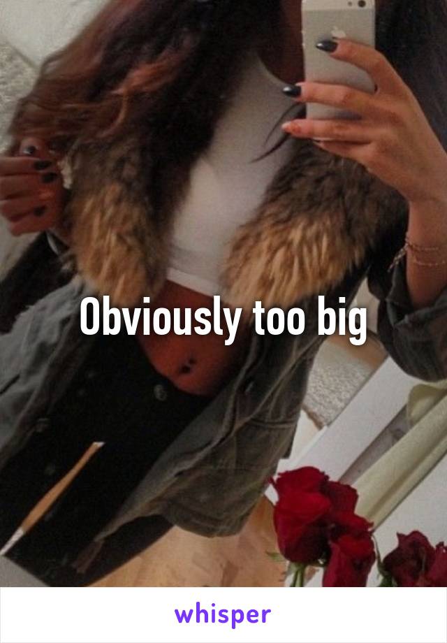 Obviously too big