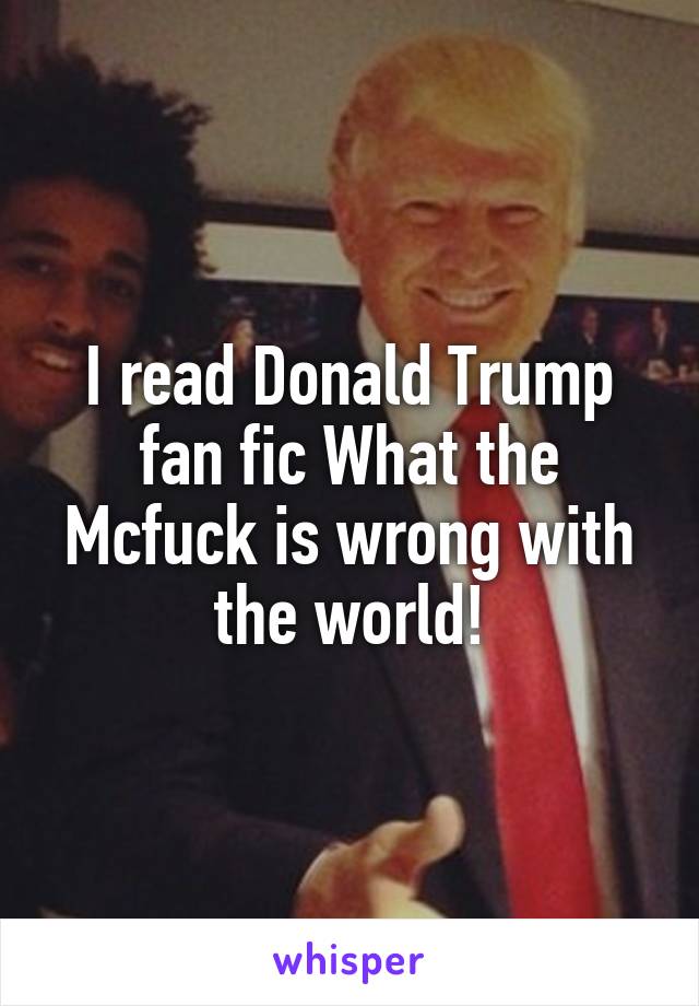 I read Donald Trump fan fic What the Mcfuck is wrong with the world!