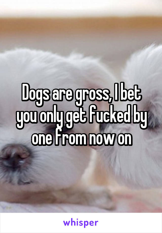 Dogs are gross, I bet you only get fucked by one from now on