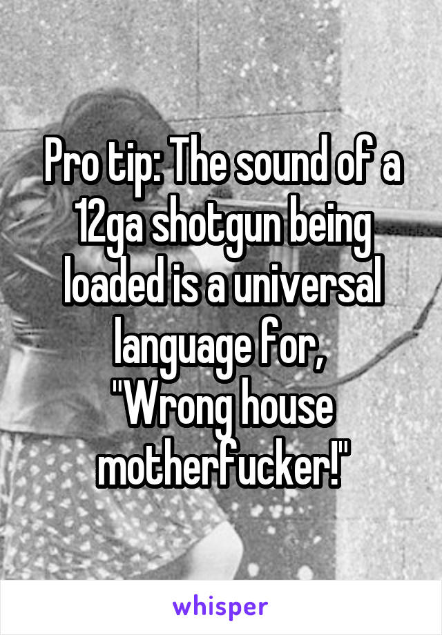 Pro tip: The sound of a 12ga shotgun being loaded is a universal language for, 
"Wrong house motherfucker!"