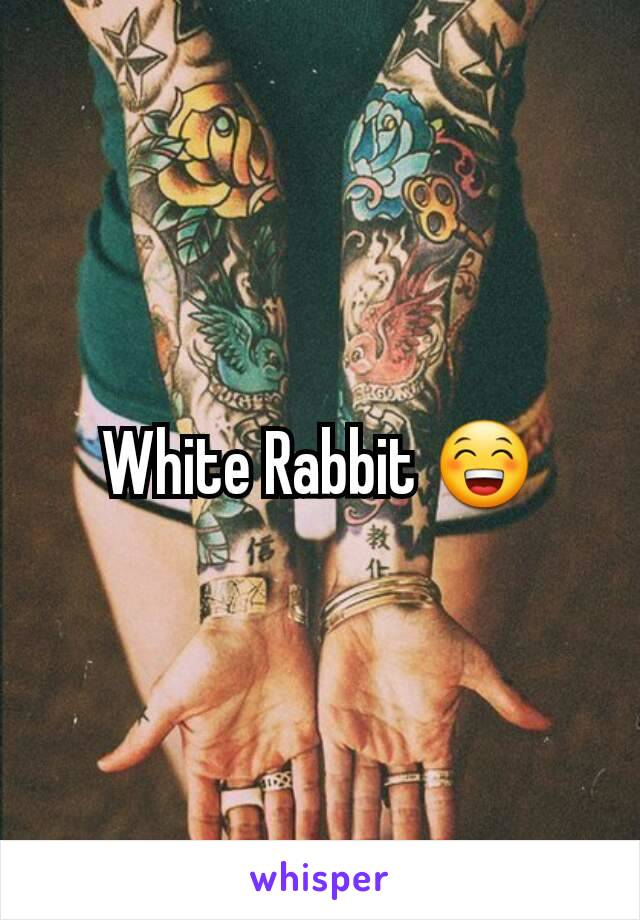White Rabbit 😁