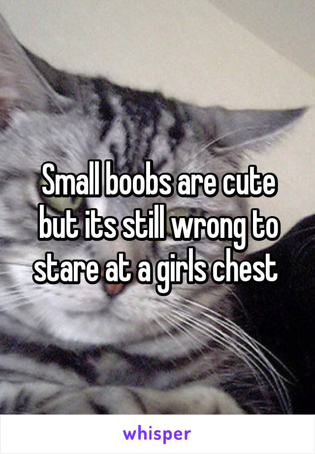 Small boobs are cute but its still wrong to stare at a girls chest 