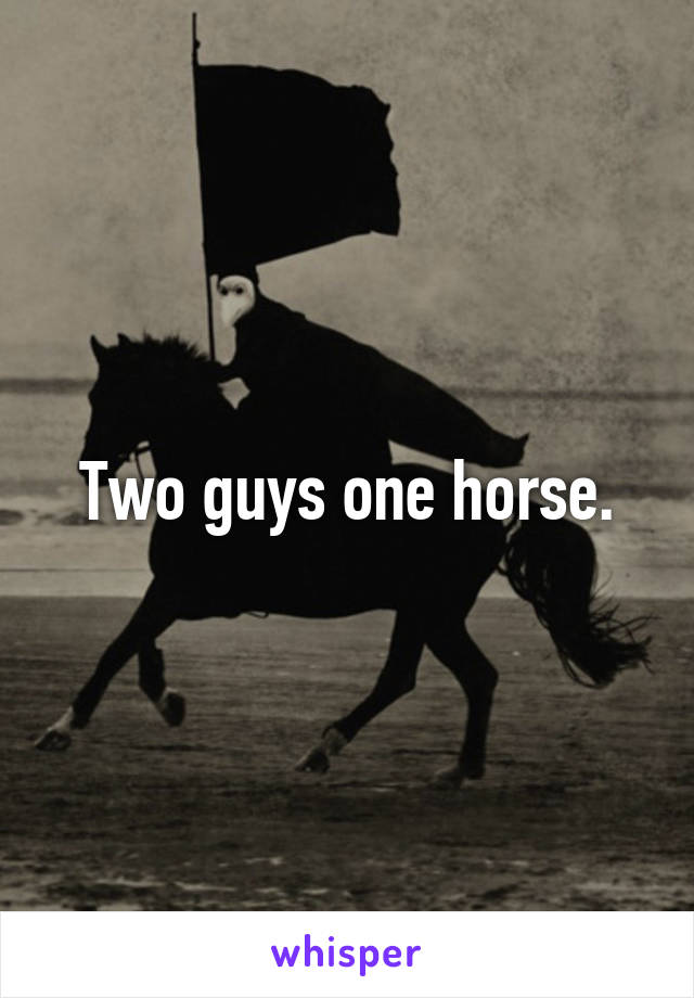 Two guys one horse.
