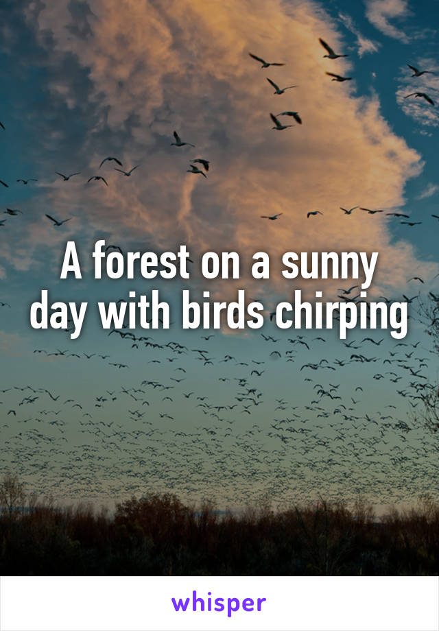 A forest on a sunny day with birds chirping 