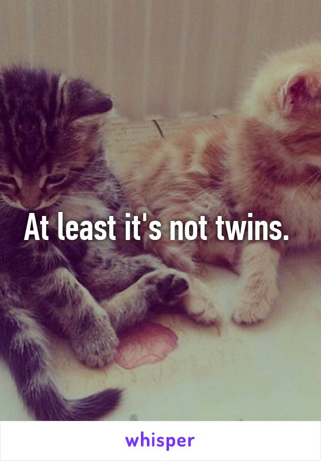 At least it's not twins. 