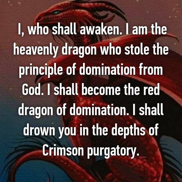 Funni reference )I who shall awaken I am the heavenly dragon who stole  the principle of domination from god I mock the infinite and fret over  the dream I SHALL BECOME THE