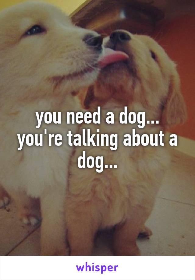 you need a dog... you're talking about a dog...