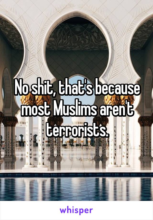 No shit, that's because most Muslims aren't terrorists.