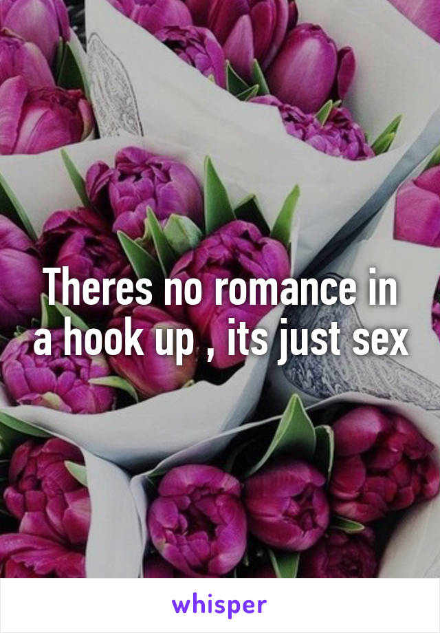 Theres no romance in a hook up , its just sex