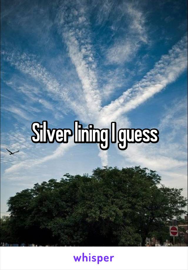Silver lining I guess