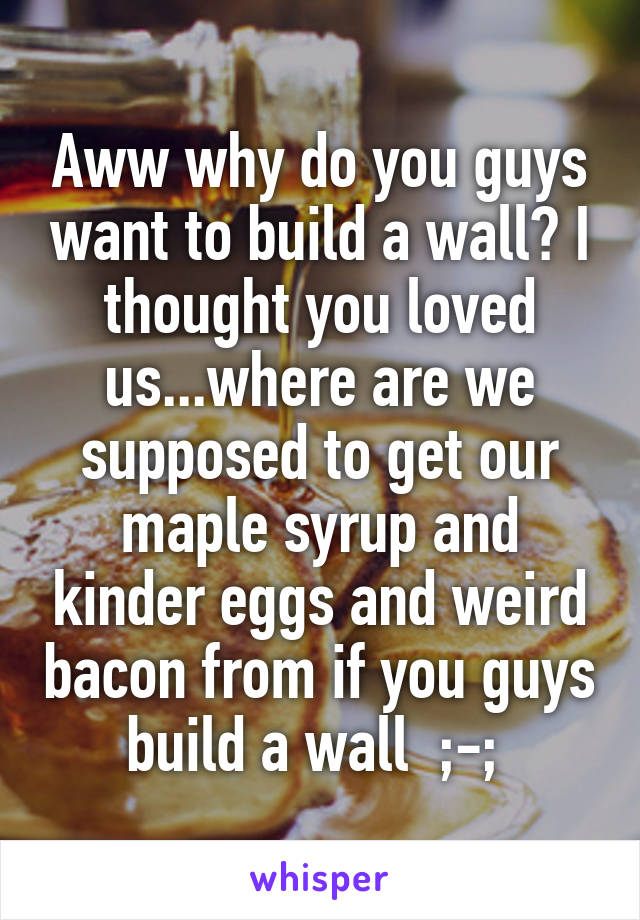 Aww why do you guys want to build a wall? I thought you loved us...where are we supposed to get our maple syrup and kinder eggs and weird bacon from if you guys build a wall  ;-; 