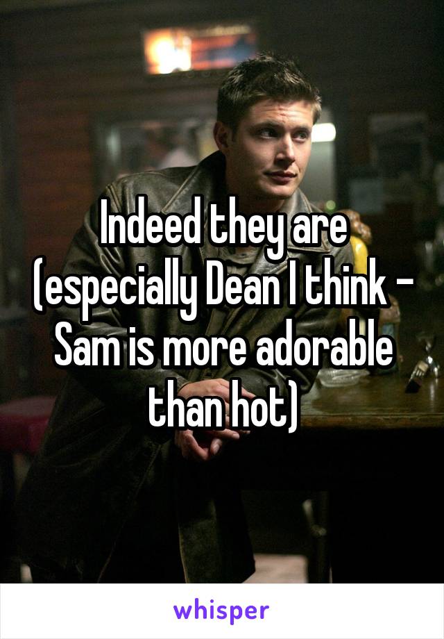 Indeed they are (especially Dean I think - Sam is more adorable than hot)