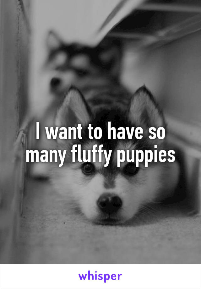 I want to have so many fluffy puppies