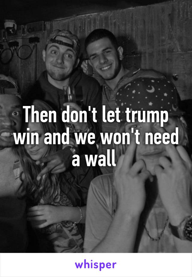 Then don't let trump win and we won't need a wall 