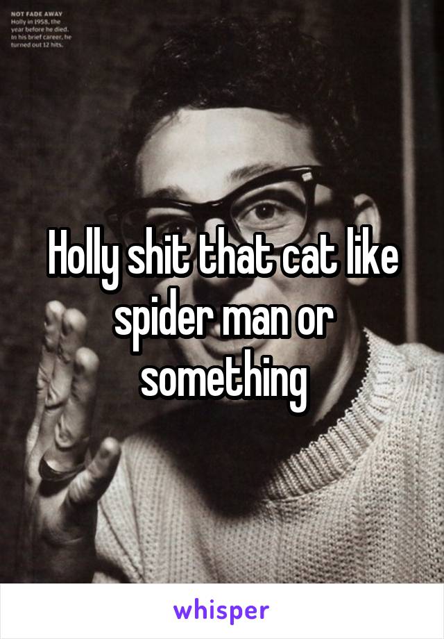 Holly shit that cat like spider man or something