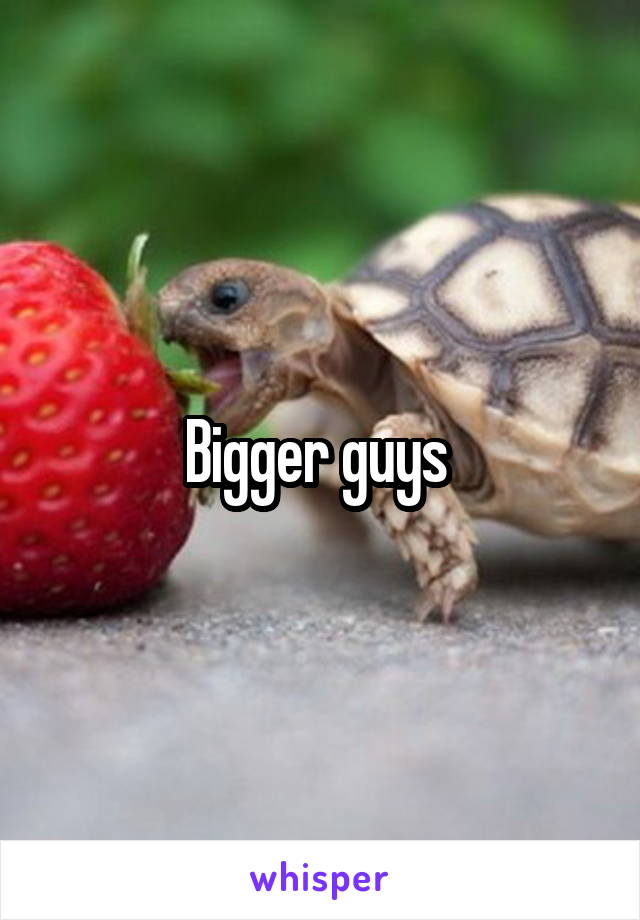 Bigger guys 
