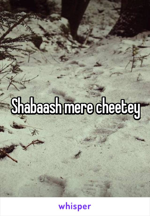 Shabaash mere cheetey