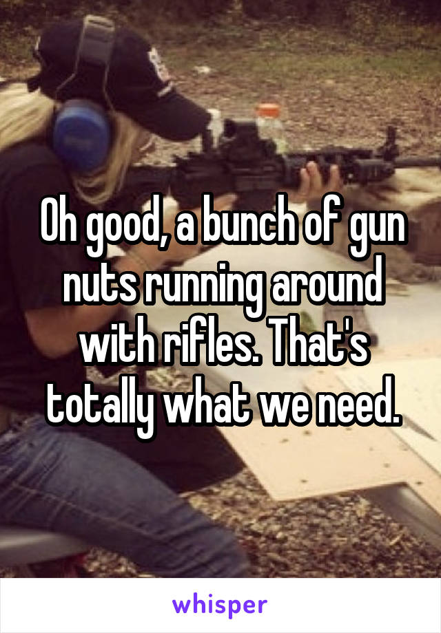 Oh good, a bunch of gun nuts running around with rifles. That's totally what we need.