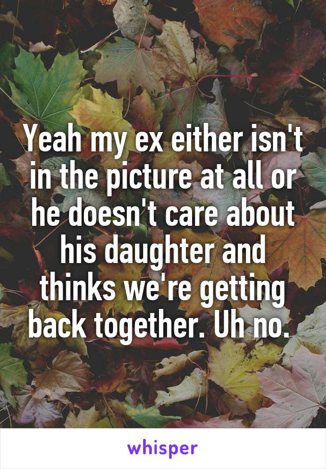 Yeah my ex either isn't in the picture at all or he doesn't care about his daughter and thinks we're getting back together. Uh no. 