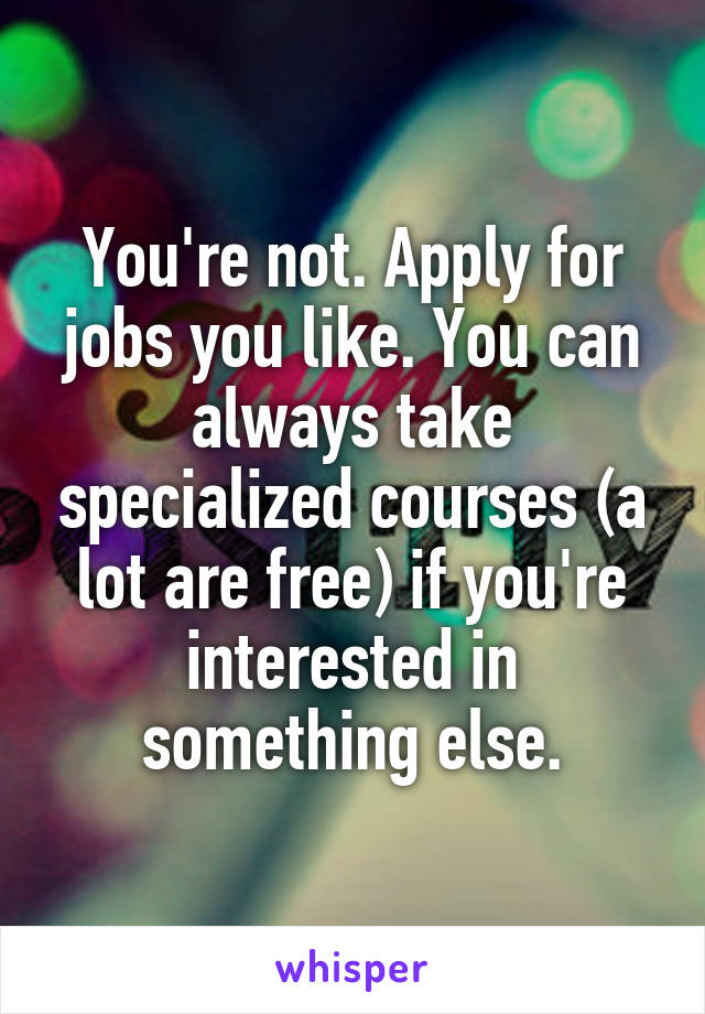 You're not. Apply for jobs you like. You can always take specialized courses (a lot are free) if you're interested in something else.