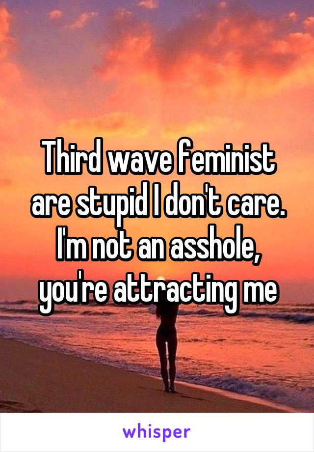 Third wave feminist are stupid I don't care. I'm not an asshole, you're attracting me