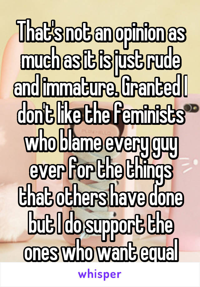That's not an opinion as much as it is just rude and immature. Granted I don't like the feminists who blame every guy ever for the things that others have done but I do support the ones who want equal