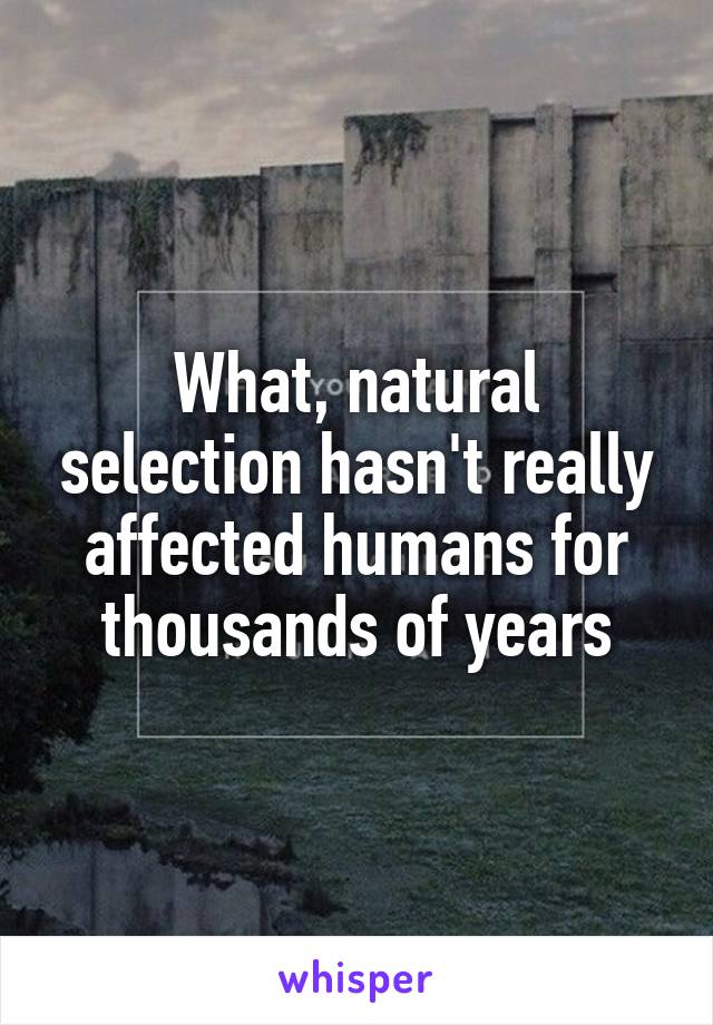 What, natural selection hasn't really affected humans for thousands of years