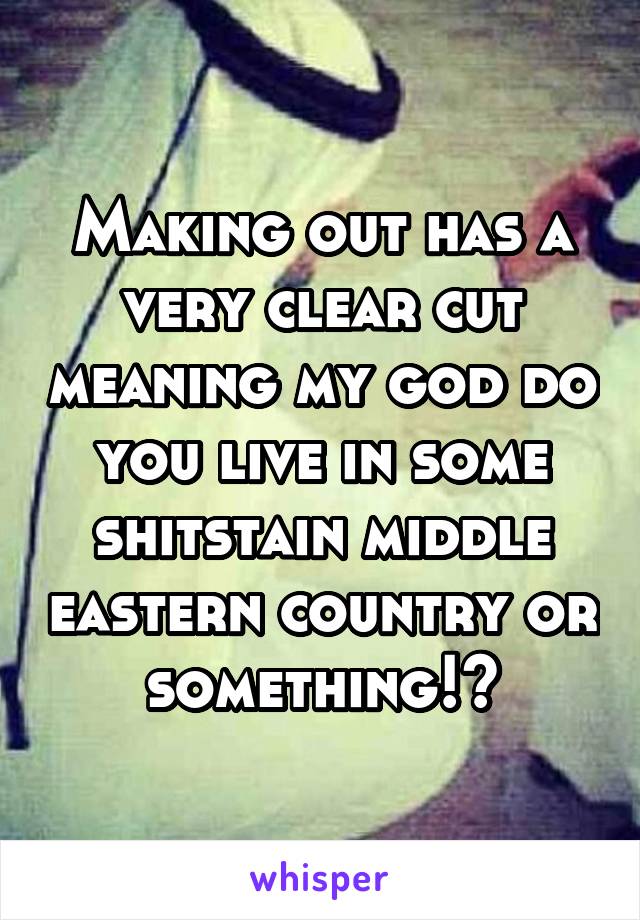 Making out has a very clear cut meaning my god do you live in some shitstain middle eastern country or something!?