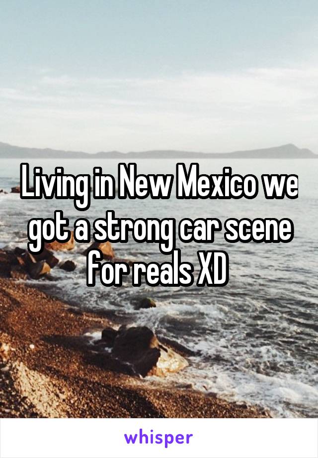 Living in New Mexico we got a strong car scene for reals XD 