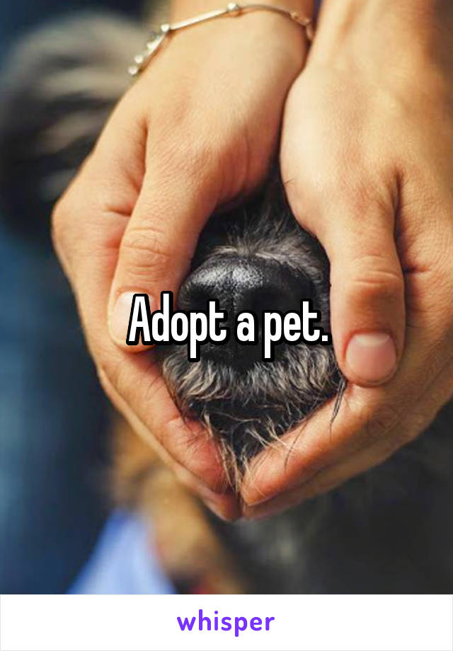 Adopt a pet.