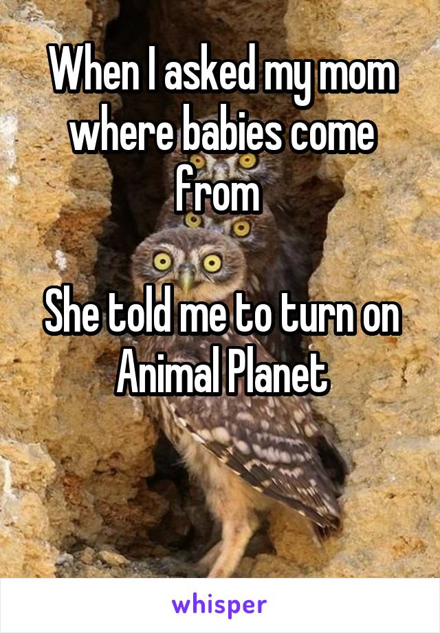 When I asked my mom where babies come from 

She told me to turn on Animal Planet


