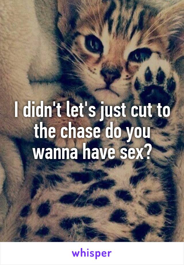 I didn't let's just cut to the chase do you wanna have sex?