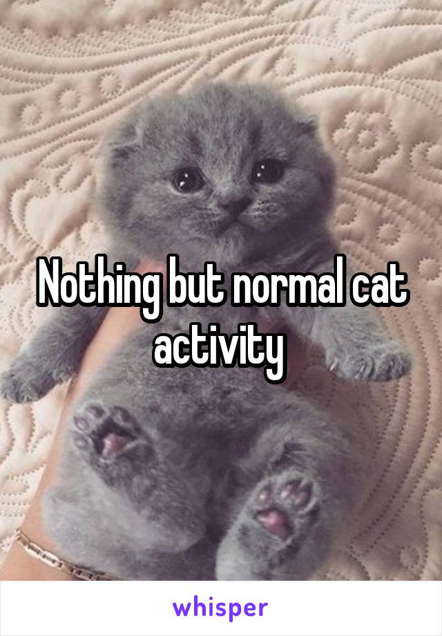 Nothing but normal cat activity 