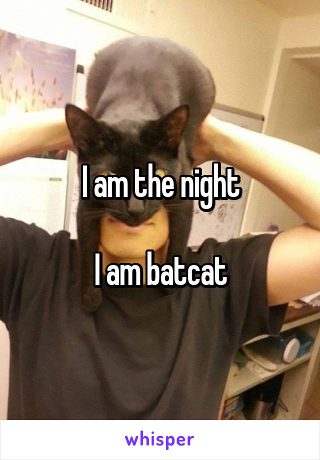 I am the night

I am batcat