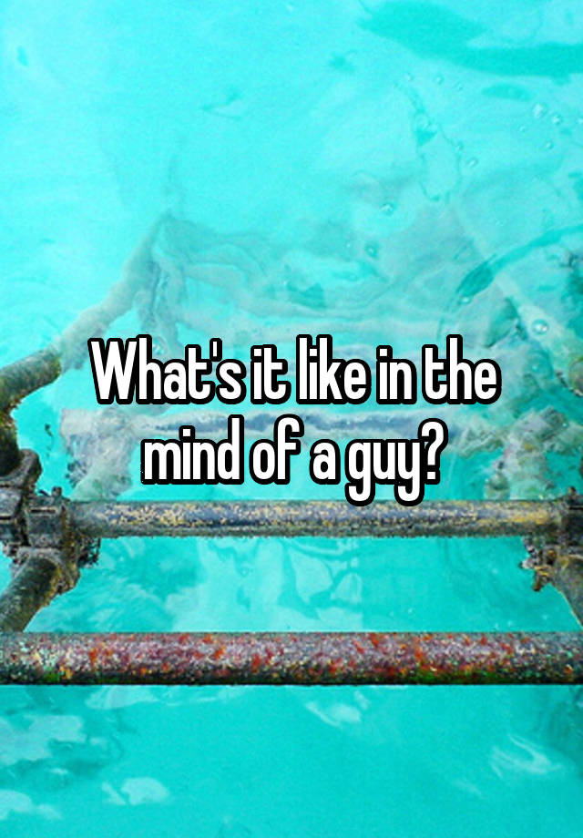 what-s-it-like-in-the-mind-of-a-guy