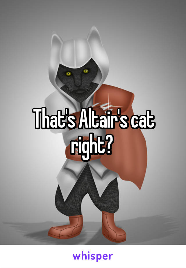 That's Altair's cat right? 