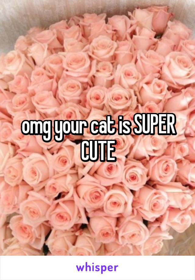 omg your cat is SUPER CUTE