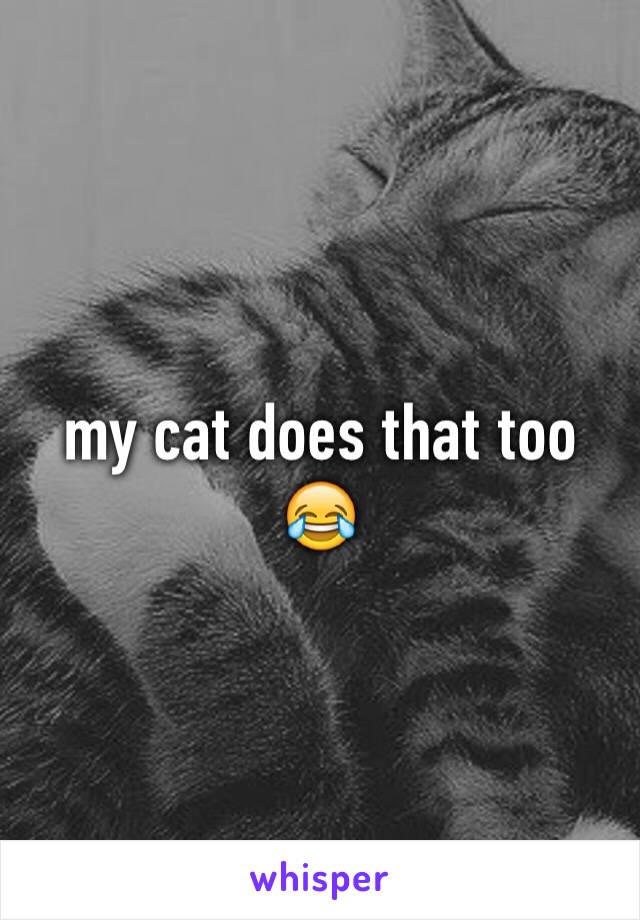 my cat does that too 😂