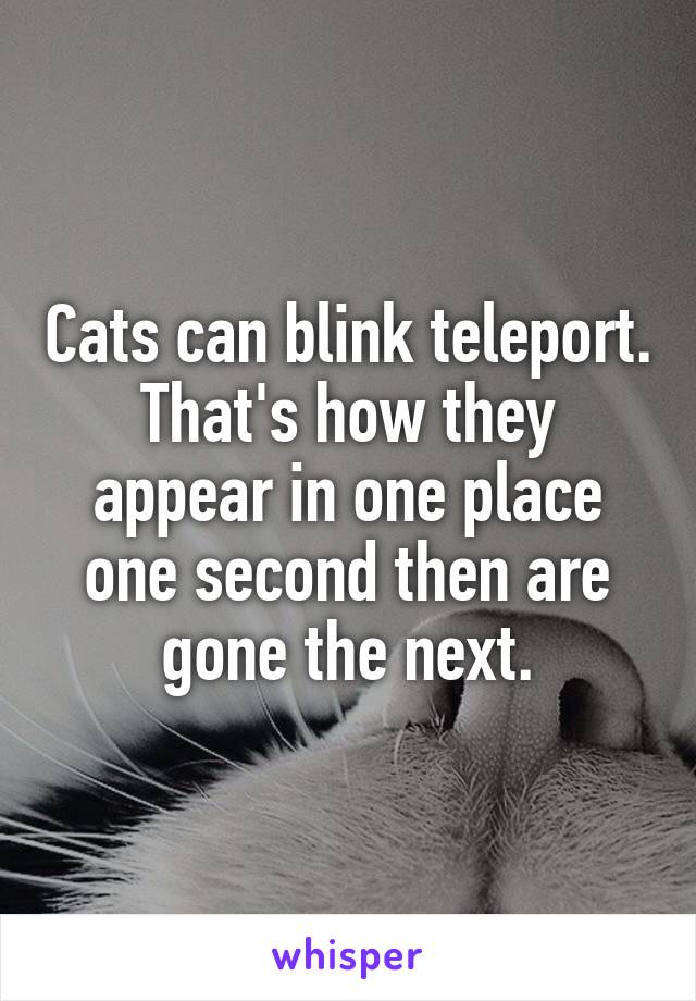 Cats can blink teleport. That's how they appear in one place one second then are gone the next.