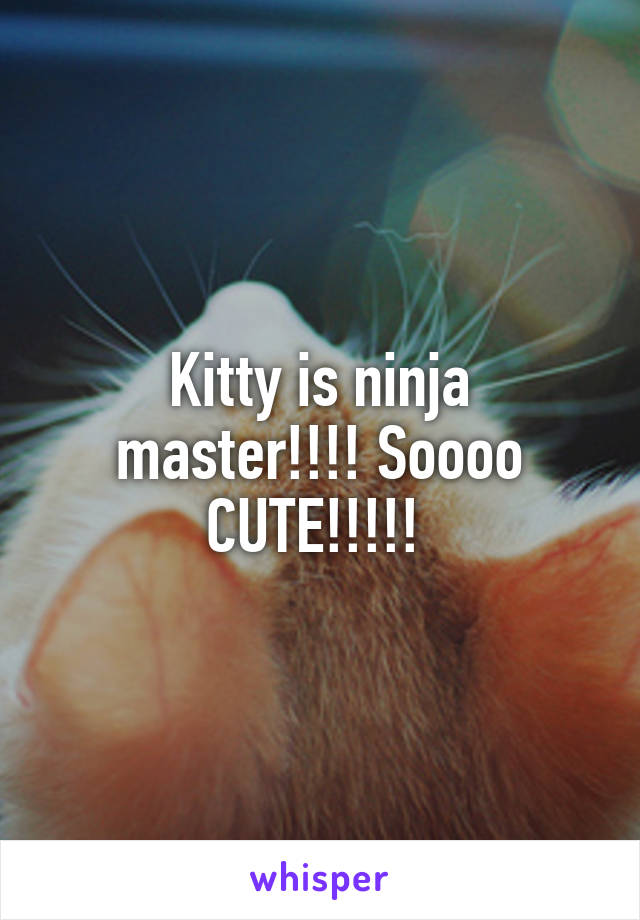 Kitty is ninja master!!!! Soooo CUTE!!!!! 